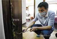 广州灭治白蚁家庭小区工厂仓库别墅