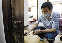 广州灭治白蚁家庭小区工厂仓库别墅