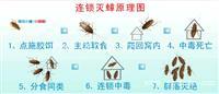 饭店快速消灭小强的方法