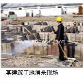 南沙东涌白蚁防治预防白蚁工程要做几次合适