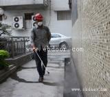 仓库里有跳蚤要怎么灭广州上门灭跳蚤公司