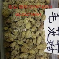 集宁中药材土人参在哪里买批发供应