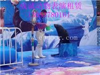 海狮表演出租|仙桃哪里有海狮表演租赁