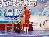 海狮表演租赁|随州市哪家海狮表演租赁服务好
