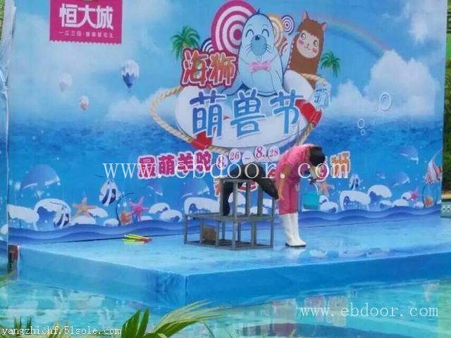 广西海狮表演租赁服务|海狮表演租赁7年表演经验