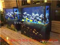 福州市海洋生物展租赁价格哪家便宜