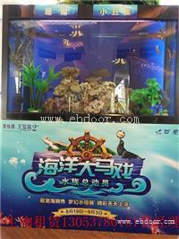 厦门哪里有海洋生物展租赁观赏鱼品种清单