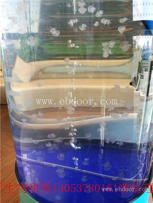 龙海市共享海洋生物展租赁鱼缸展出租一手资源