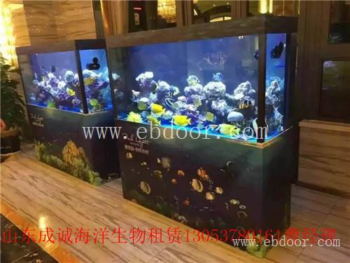 永安市海洋生物展租赁公司哪家好