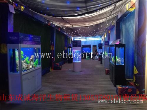 福鼎市海洋馆对外出租海洋生物展租赁协议
