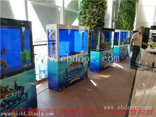 晋江市海洋生物展租赁流程具体报价