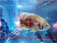 临海市哪里有海洋生物展租赁|海洋生物展租赁批发