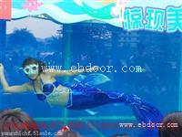 海洋生物展租赁报价|台州哪有海洋生物展租赁