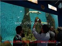 衢州市海洋生物展租赁哪家价格优惠大