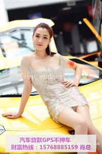 番禺迈巴赫哪里买车