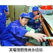 餐厅很多蟑螂用什么方法消灭