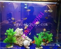 辽源海洋生物展租赁价格范围