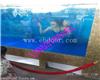 南通海洋生物展租赁策划公司哪家好