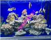 揭阳海洋生物展租赁价格行情