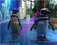 德阳海洋生物展租赁策划公司哪家好