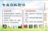 南沙灭白蚁南沙治白蚁公司东涌白蚁防治