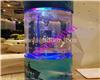 新乡哪里有出租鱼缸海洋生物展租赁