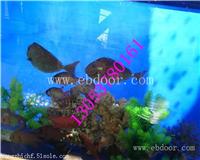 吉林海洋生物展租赁价格咨询