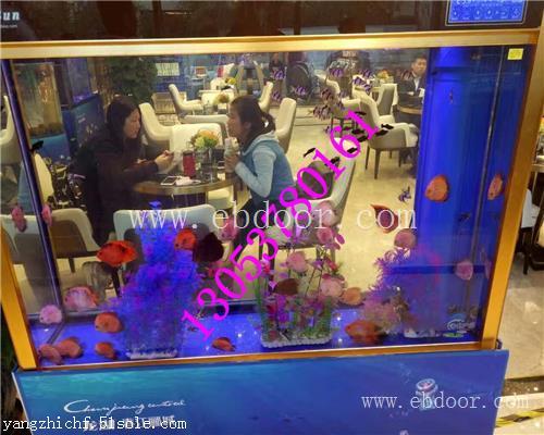 金华海洋生物展哪里有出租租赁