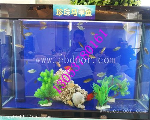海洋生物展租赁1天津海洋生物展租赁价格范围