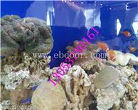 海洋生物展租赁1北京海洋生物鱼缸展出租信息