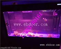 海洋生物展租赁1上海海洋生物展租赁公司哪家好