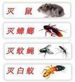南沙专业上门灭白蚁公司灭白蚁多少钱一次