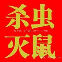 番禺灭鼠公司办公室怎么快速消灭老鼠