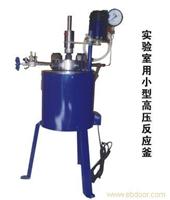 供应水热合成反应釜-实验室用小型高压反应釜 