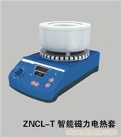 供应ZNCL-T智能磁力电热套 
