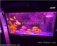 吉林出租鲨鱼、水母、鱼缸展哪里有
