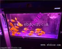 吉林出租鲨鱼、水母、鱼缸展哪里有