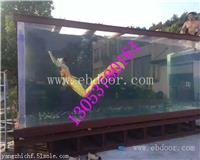 常州海洋生物展租赁鱼缸展出租