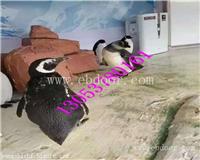 苏州海洋生物展租赁鱼缸展出租