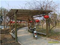 上海公园花架