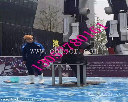 汕尾海洋生物展租赁鱼缸展出租
