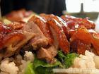 烧鸭饭/张江烧鸭饭 