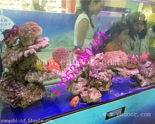自贡海洋生物展鱼缸展出租租赁