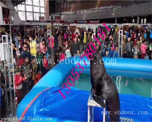 泰州海洋生物展鱼缸展出租租赁