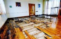 佛山顺德上门灭白蚁杀白蚁