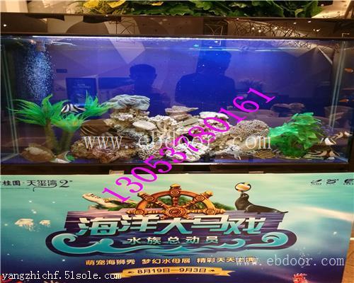 杭州海洋生物展租赁哪家公司好