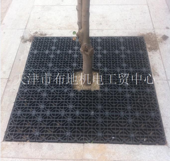 北京树蓖子