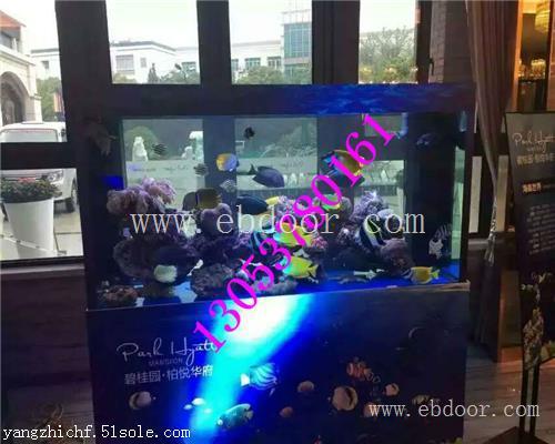 阜新海洋生物展租赁观赏鱼多少品种