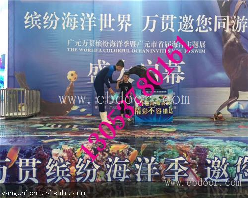 钦州市海狮表演租赁服务公司哪家好