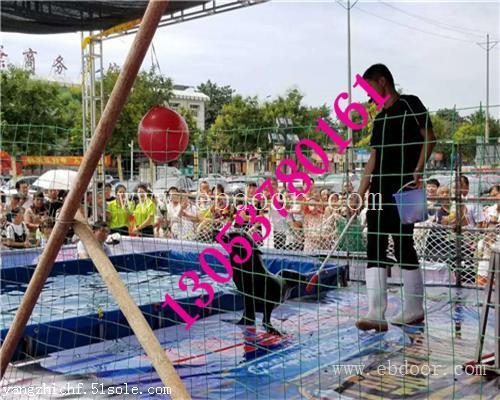 莆田市海狮表演租赁哪里有出租